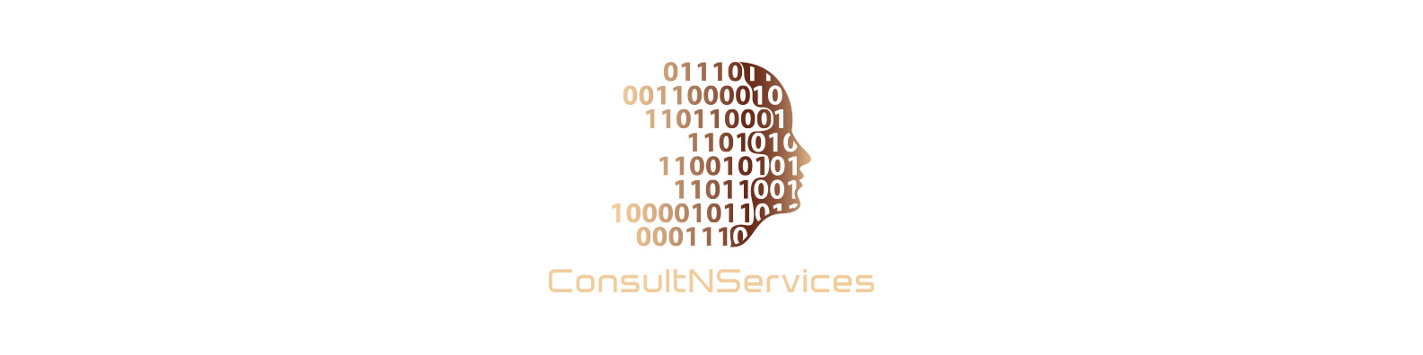 ConsultNServices